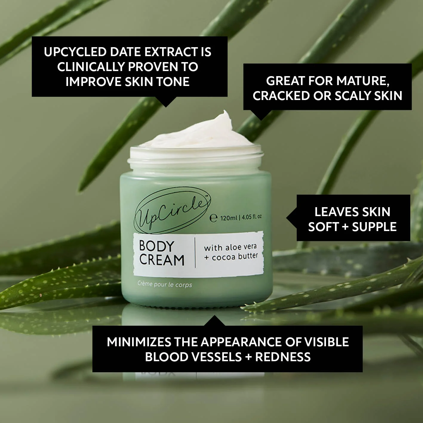 Natural Body Cream with Aloe Vera + Cocoa Butter - Image 5